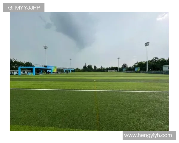 西安飞盘队比赛经验深度对比与分析探讨